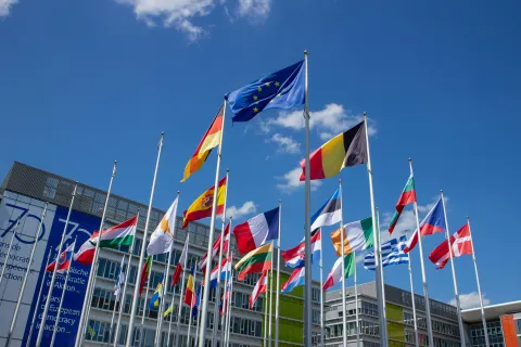 Flags of European Union Countries.